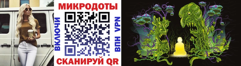 Галлюциногенные грибы Psilocybine cubensis где найти Мелеуз