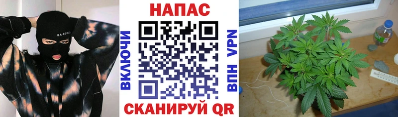 Бошки Шишки AK-47  OMG сайт  Мелеуз  дарнет шоп 